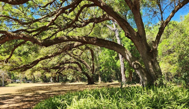 SuiteHome among the Oaks.