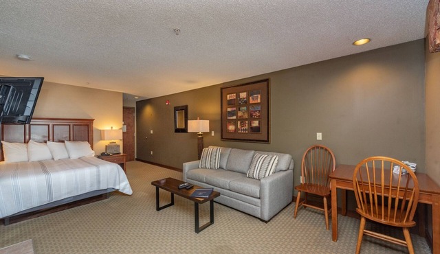 Suites at Silver Tree: A118 Studio Standard View