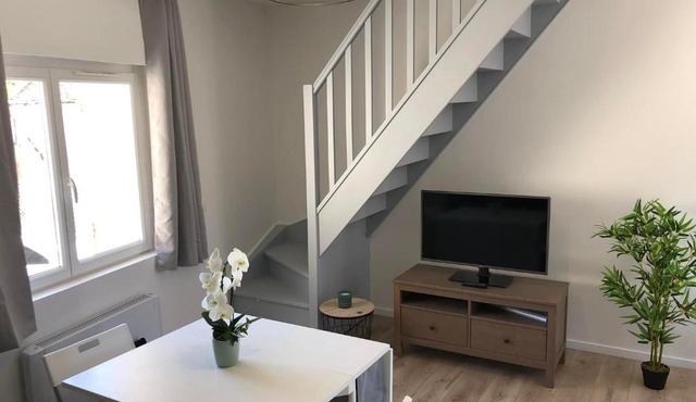 Suites Rive Gauche - FORÊT FONTAINEBLEAU - Chez Samantha