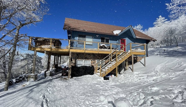 Summer 2025 book 3 nights and get the 4th free! Dogs welcome!