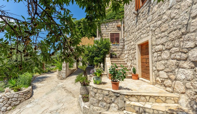 Summer Cottage