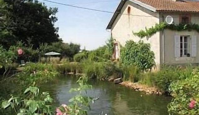 Summer house at our Organic Farmhouse