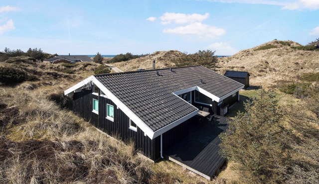 Summer house with sea view in the dunes