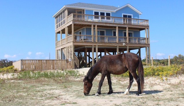 Summer Paws - pool/hot tub, 4x4, pets, short walk to the beach!