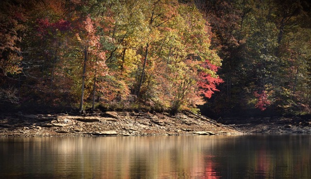 SUMMER SKIES AND HOMEMADE PIES AT DALE HOLLOW LAKE
