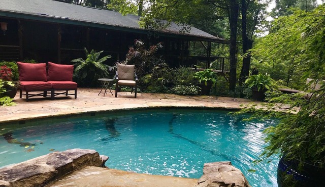 Summer Special - Cozy, Private Cabin, Mountain View, Pet Friendly
