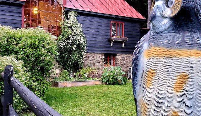 summer time available