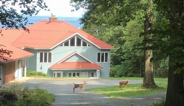 Summertime at the Big Lake Lodge