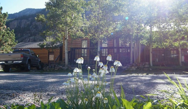 Summertime in the Mountains