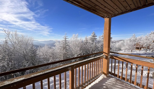Summit Condo . near the Village. The 2025-26 WINTER season is almost over!