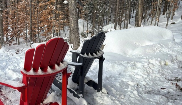 Summit Living Redefined: Alpine Views, Forest Serenity,5 Minutes from everything