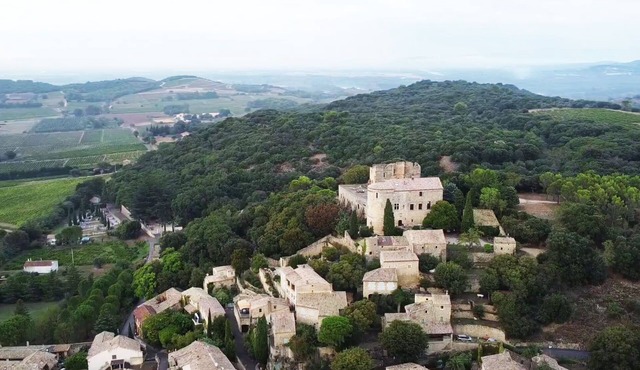 SUN, CICADAS AND CHÂTEAU LIFE