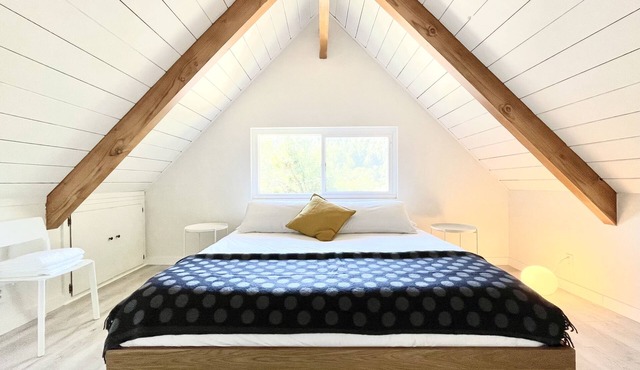 Sun-Filled Modern Mountain Cabin