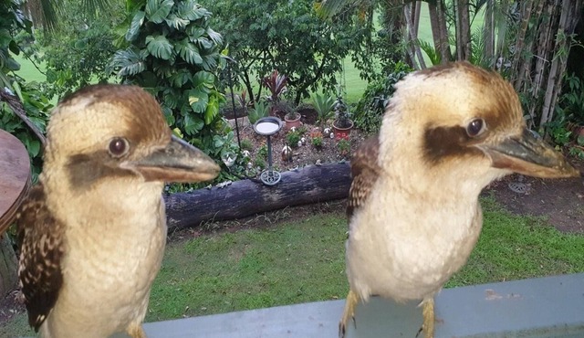 Sun Shine Coast Retreat Your own private golf course