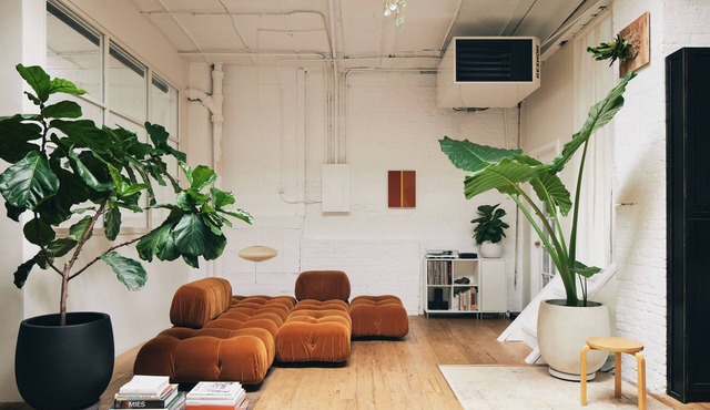 Sun Soaked Mid Century Modern Design 2-bedroom Loft in Brooklyn with Pro Kitchen