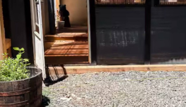 Sun Soaked Tiny House Cottage in Charming Jefferson