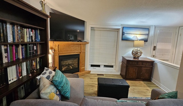 Sun Valley Beach Fenced YARD Home by Lake Erie. Pets ok Wifi, Fireplace,BBQ, A/C
