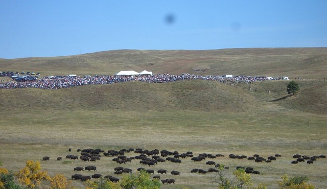 Sundance Wyoming Bunkhouse
