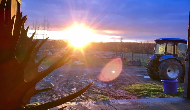 Sunderland Ranch Guest Barn - Your Rustic Ranch Getaway
