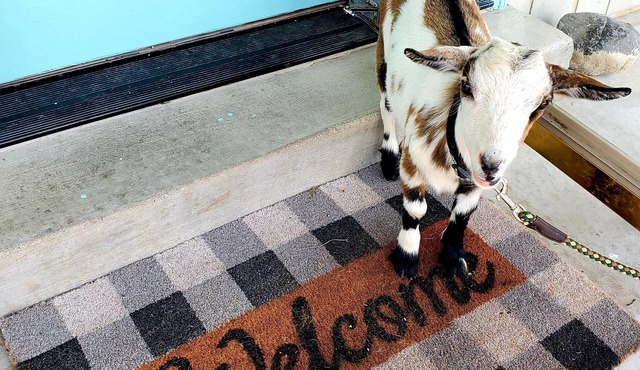 Sundrop Suite at Sundrop Acres