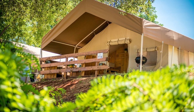 Sunflower Camping
