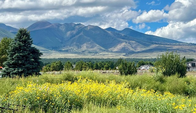 🌻Sunflower Cottage🌻Breathtaking Mountain Views & Fresh Air Retreat!
