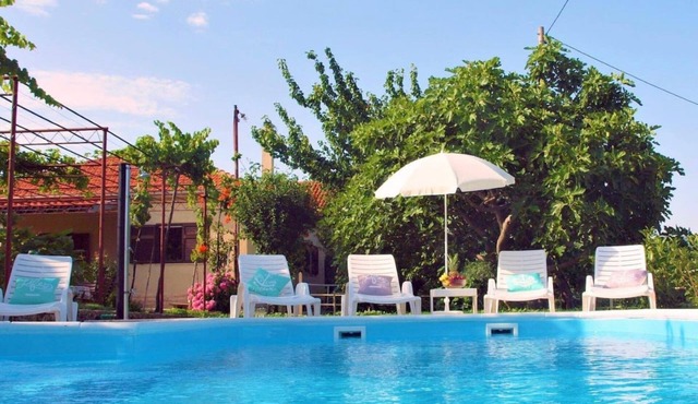 Sunflower house with a pool and large garden
