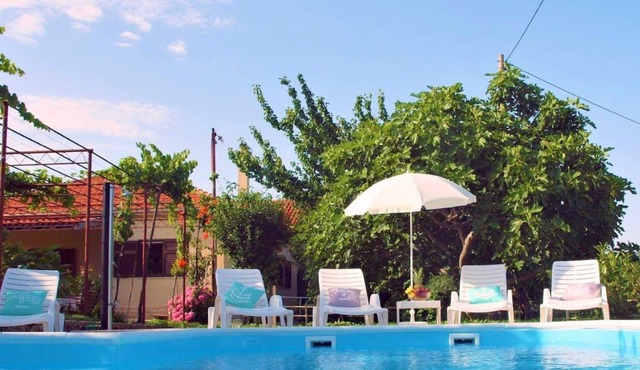 Sunflower house with a pool