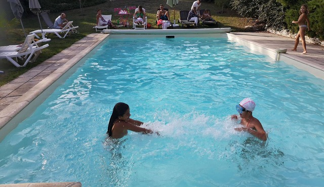 Sunflower Mas Escampette