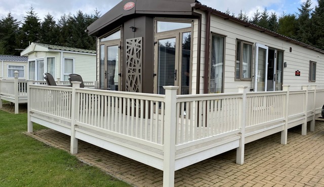 Sunflower Retreat, Northumberland