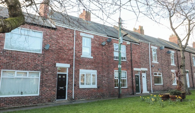 SUNFLOWERS, pet friendly, with open fire in Whitley Bay