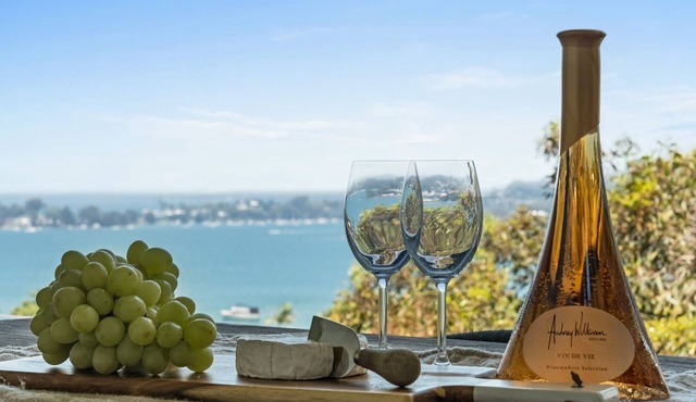 Sunlight Ridge House