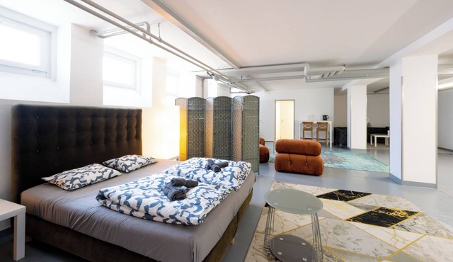 Sunlit Urban Haven: Zurich Loft with 5 Queen Beds