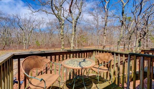 Sunlit woodland view studio with private deck & WiFi - near beaches/trails/town