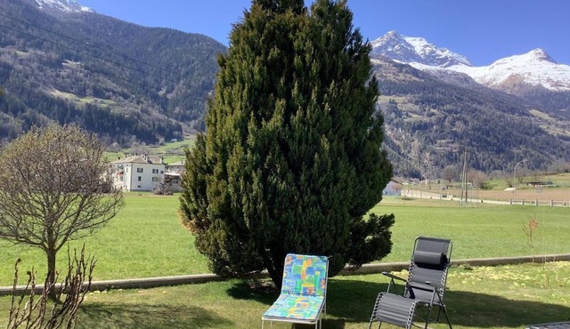 Sunny 2.5-room flat in a quiet location
