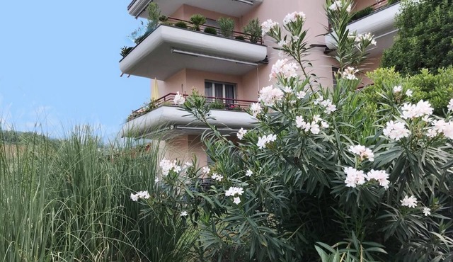 Sunny 3.5 room holiday flat in Caslano