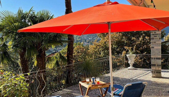 Sunny 4-room apartment with large palm terrace. Lake view