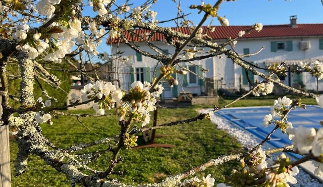 Sunny 4-star gîte with swimming pool, a haven of peace ideal for families!