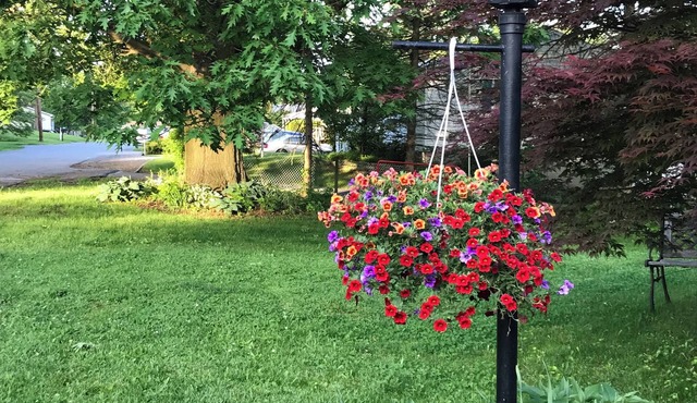Sunny and Bright Home, Close to Penn State's Campus