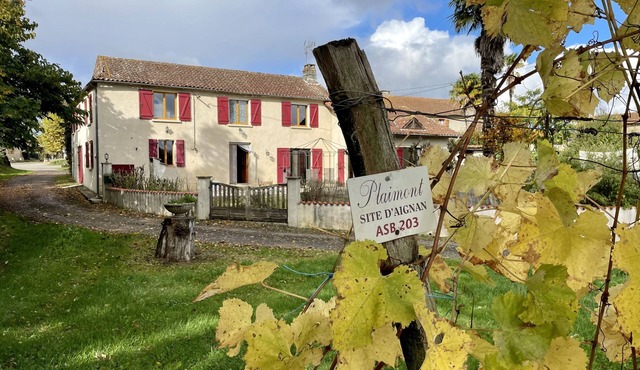 Sunny and lighted village house, with swimming pool, and view of the vineyards