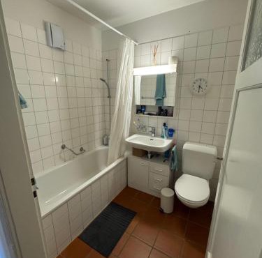 Sunny appartement near Downtown