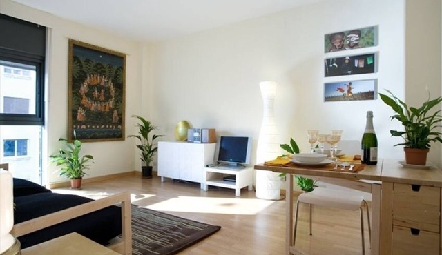 Sunny Bright Cozy Apartment Centric-Sagrada Familia-3