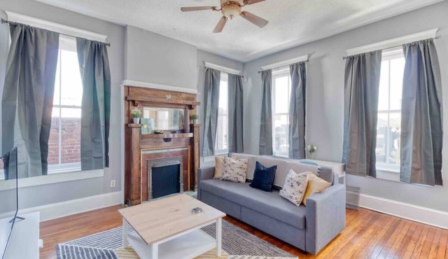 Sunny & bright - cute 1 BR apt in historic SPR