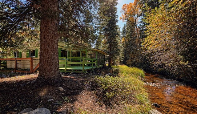 Sunny Cabin at Vallecito Lake on the Creek, Pet Friendly