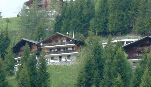 Sunny chalet vacation apartment with a view of the Jaun valley in the west alps