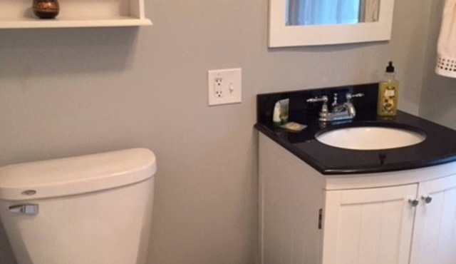 Sunny Coach House in Historic Oak Park