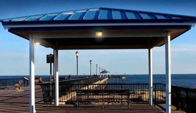 ☀Sunny & Comfy | 5★ Location | Spacious Yard | Pkg