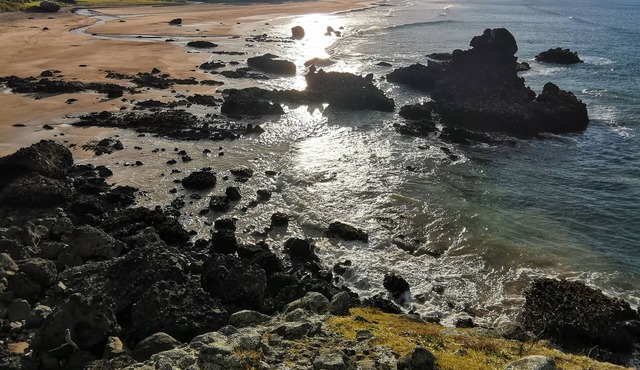 Sunny Daze - Taupo Bay