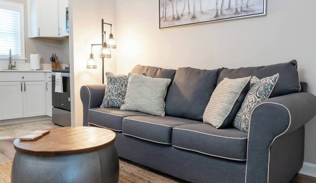 Sunny Downtown Studio | Pet-Friendly Stay