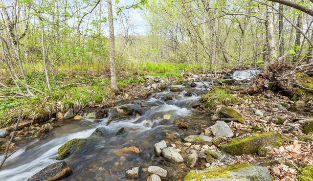 Sunny Farmhouse Retreat in Jefferson, NH